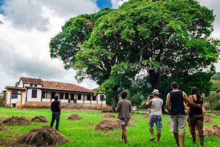 Backyard Landscape - Group of People Walking Along Green Grass Field